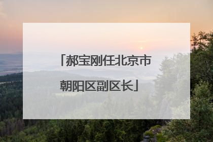 郝宝刚任北京市朝阳区副区长