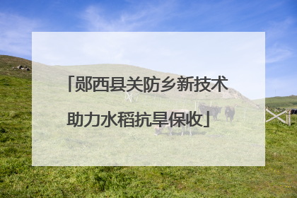 郧西县关防乡新技术助力水稻抗旱保收