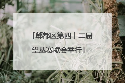 郫都区第四十二届望丛赛歌会举行