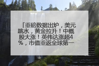 重磅数据出炉，美元跳水，黄金拉升！中概股大涨！英伟达涨超4%，市值重返全球第一！黄仁勋计划出售至多600万股股票