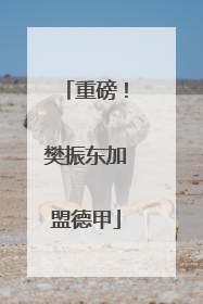重磅！樊振东加盟德甲