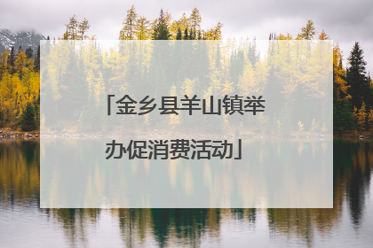 金乡县羊山镇举办促消费活动