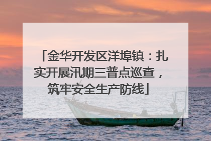 金华开发区洋埠镇：扎实开展汛期三普点巡查，筑牢安全生产防线