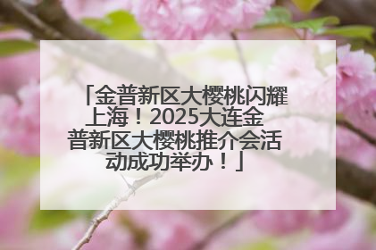 金普新区大樱桃闪耀上海！2025大连金普新区大樱桃推介会活动成功举办！