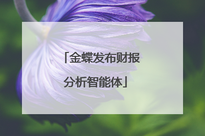 金蝶发布财报分析智能体