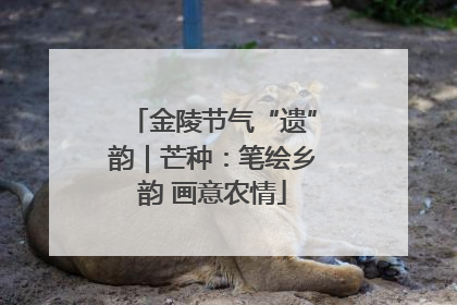 金陵节气“遗”韵｜芒种：笔绘乡韵 画意农情
