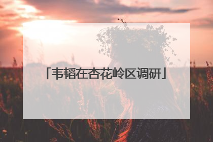 韦韬在杏花岭区调研