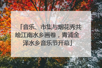 音乐、市集与烟花秀共绘江南水乡画卷，青浦金泽水乡音乐节开幕