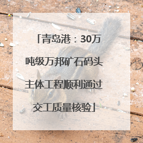 青岛港：30万吨级万邦矿石码头主体工程顺利通过交工质量核验