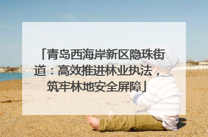 青岛西海岸新区隐珠街道：高效推进林业执法，筑牢林地安全屏障