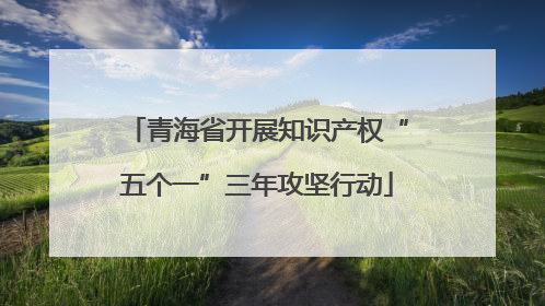 青海省开展知识产权“五个一”三年攻坚行动