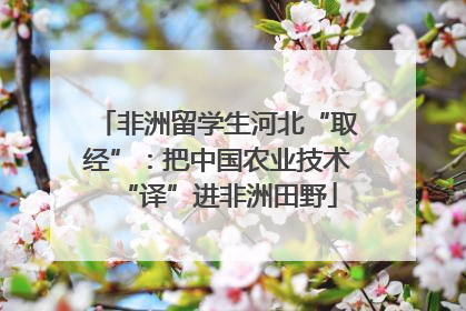 非洲留学生河北“取经”：把中国农业技术“译”进非洲田野