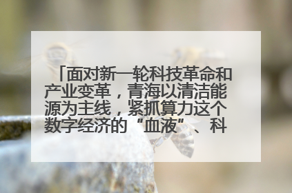 面对新一轮科技革命和产业变革，青海以清洁能源为主线，紧抓算力这个数字经济的“血液”、科技主权的“筹码”、产业升级的“杠杆”、绿色转型的“支点”，勇于撬动国家“双碳”战略、“东数西算”工程重大发展新机遇
