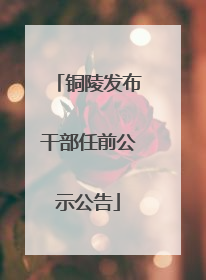 铜陵发布干部任前公示公告