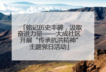 铭记历史丰碑，汲取奋进力量——大成社区开展“传承抗洪精神”主题党日活动