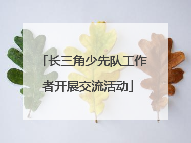 长三角少先队工作者开展交流活动