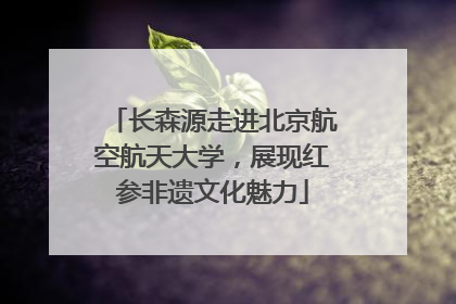 长森源走进北京航空航天大学，展现红参非遗文化魅力