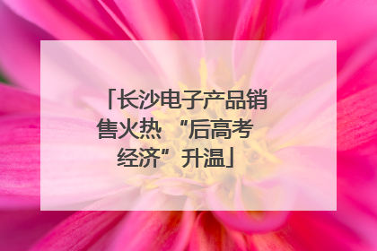 长沙电子产品销售火热 “后高考经济”升温