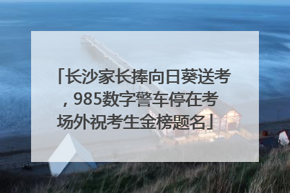 长沙家长捧向日葵送考，985数字警车停在考场外祝考生金榜题名