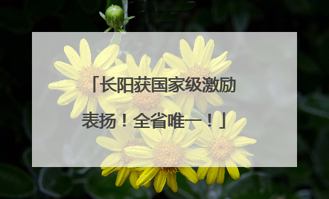 长阳获国家级激励表扬！全省唯一！