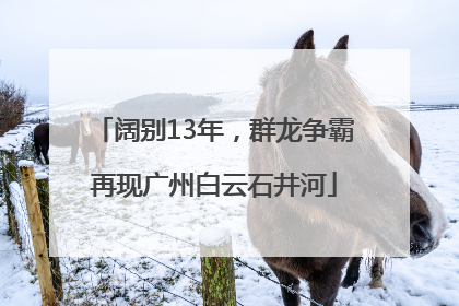 阔别13年，群龙争霸再现广州白云石井河
