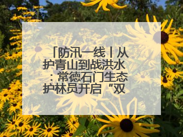 防汛一线丨从护青山到战洪水：常德石门生态护林员开启“双重守护”模式