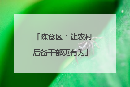 陈仓区：让农村后备干部更有为