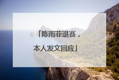 陈雨菲退赛，本人发文回应