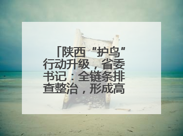 陕西“护鸟”行动升级，省委书记：全链条排查整治，形成高压震慑态势