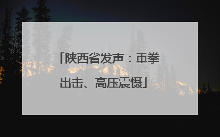 陕西省发声：重拳出击、高压震慑