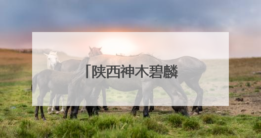 陕西神木碧麟湾景区积极建设省冬运会场地
