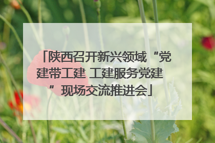 陕西召开新兴领域“党建带工建 工建服务党建”现场交流推进会
