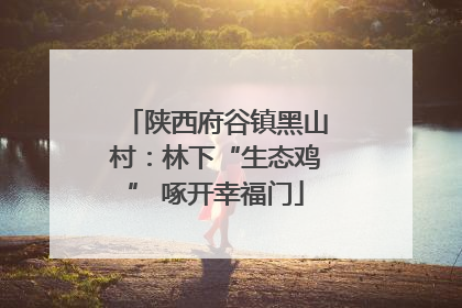 陕西府谷镇黑山村：林下“生态鸡” 啄开幸福门