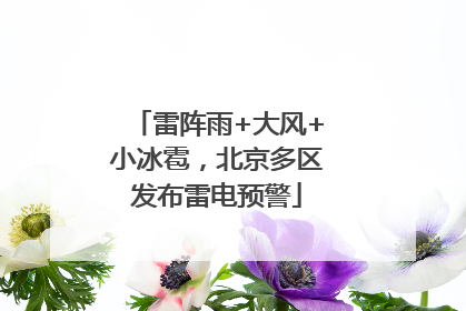 雷阵雨+大风+小冰雹，北京多区发布雷电预警