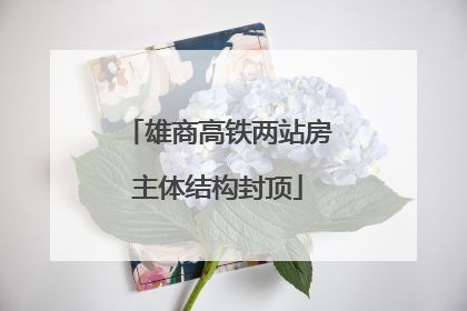 雄商高铁两站房主体结构封顶