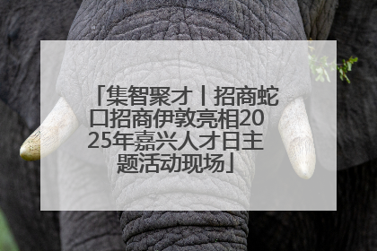 集智聚才丨招商蛇口招商伊敦亮相2025年嘉兴人才日主题活动现场