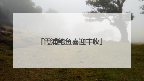 霞浦鲍鱼喜迎丰收