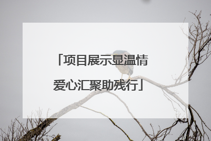 项目展示显温情 爱心汇聚助残行