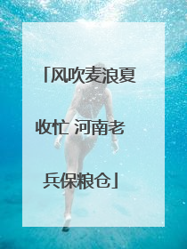 风吹麦浪夏收忙 河南老兵保粮仓