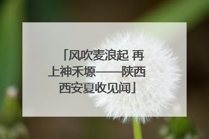 风吹麦浪起 再上神禾塬——陕西西安夏收见闻