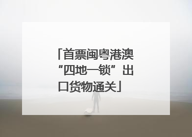 首票闽粤港澳“四地一锁”出口货物通关