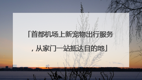 首都机场上新宠物出行服务，从家门一站抵达目的地