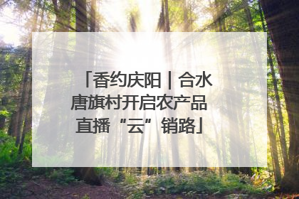 香约庆阳｜合水唐旗村开启农产品直播“云”销路
