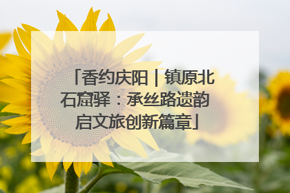 香约庆阳｜镇原北石窟驿：承丝路遗韵 启文旅创新篇章