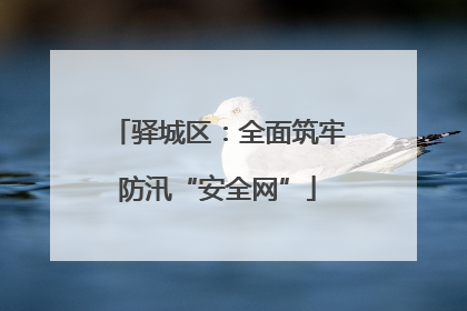 驿城区：全面筑牢防汛“安全网”
