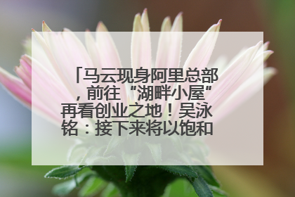 马云现身阿里总部，前往“湖畔小屋”再看创业之地！吴泳铭：接下来将以饱和式投入的打法，聚焦于几大核心战役