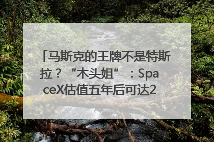 马斯克的王牌不是特斯拉？“木头姐”：SpaceX估值五年后可达2.5万亿美元！