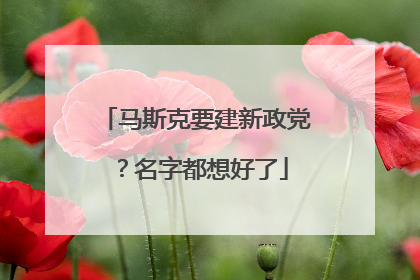 马斯克要建新政党？名字都想好了