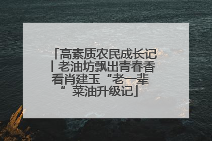 高素质农民成长记丨老油坊飘出青春香 看肖建玉“老一辈”菜油升级记