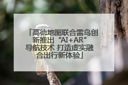 高德地图联合雷鸟创新推出“AI+AR”导航技术 打造虚实融合出行新体验